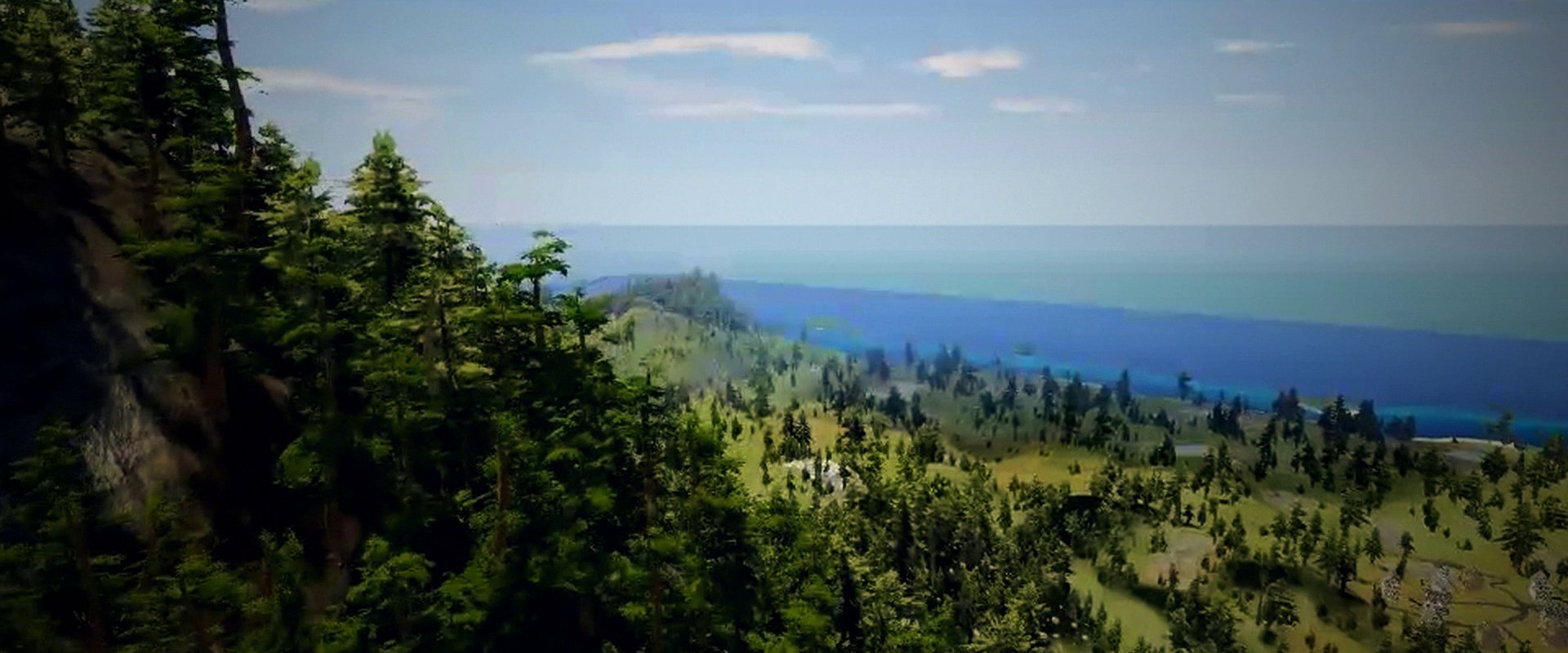 Forested hills running down to the sea